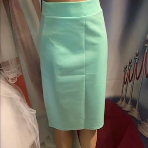 NWT Mint green polyester Skirt medium 28” waist